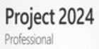 Microsoft Project Professional 2024