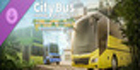 City Bus Manager Holiday Resorts & Sightseeing Buses