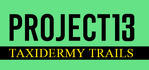 Project 13 Taxidermy Trails Xbox Series X
