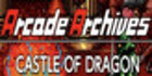 Arcade Archives CASTLE OF DRAGON Nintendo Switch