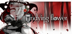 Undying Flower