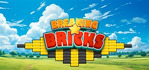 BREAKING BRICKS