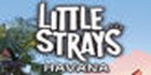 Little Strays Havana PS4