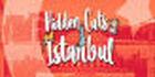 Hidden Cats in Istanbul