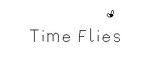 Time Flies PS4