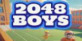 2048 Boys PS5