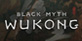 Black Myth Wukong