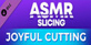 ASMR Slicing Joyful Cutting