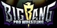 BIG BANG PRO WRESTLING Nintendo Switch
