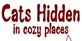 Cats Hidden in Cozy Places Nintendo Switch