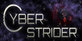 Cyber Strider