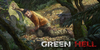 Green Hell Nintendo Switch
