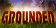 Grounded PS5