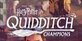 Harry Potter Quidditch Champions Xbox Series X