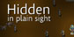Hidden in Plain Sight Xbox Series X