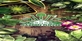 House Flipper Garden Xbox Series X