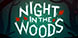 Night in the Woods