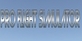 Pro Flight Simulator