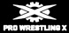 Pro Wrestling X