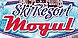 Ski Resort Mogul