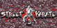 Street karate 3