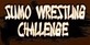 Sumo Wrestling Challenge
