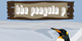 The Penguin P
