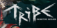 Tribe Primitive Builder